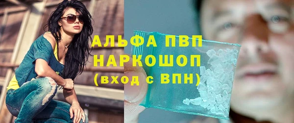 хмурый Алексин