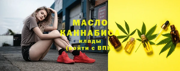 тгк Сатка