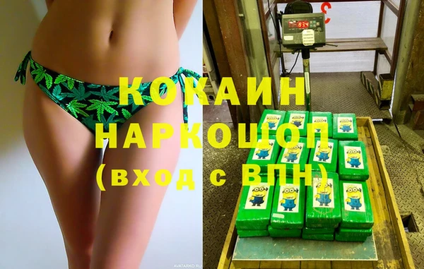 хмурый Алексин