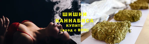 тгк Сатка