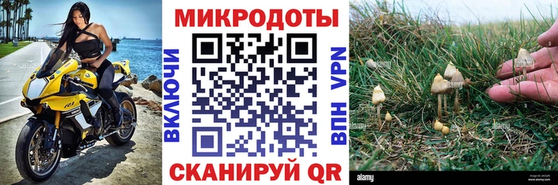 Галлюциногенные грибы прущие грибы ОМГ ОМГ вход Ивантеевка